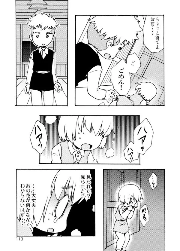 アネモネ - page113