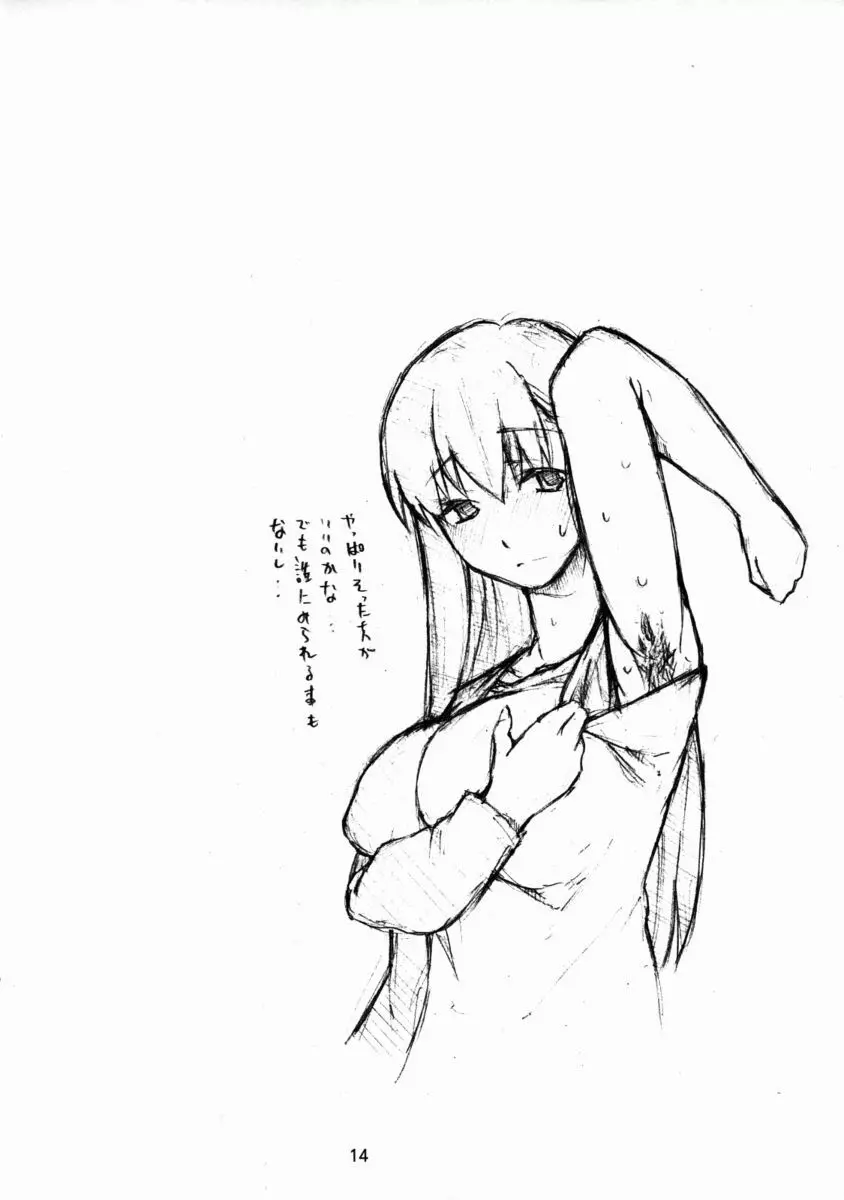 ひたすらフェチ FATE編 - page14