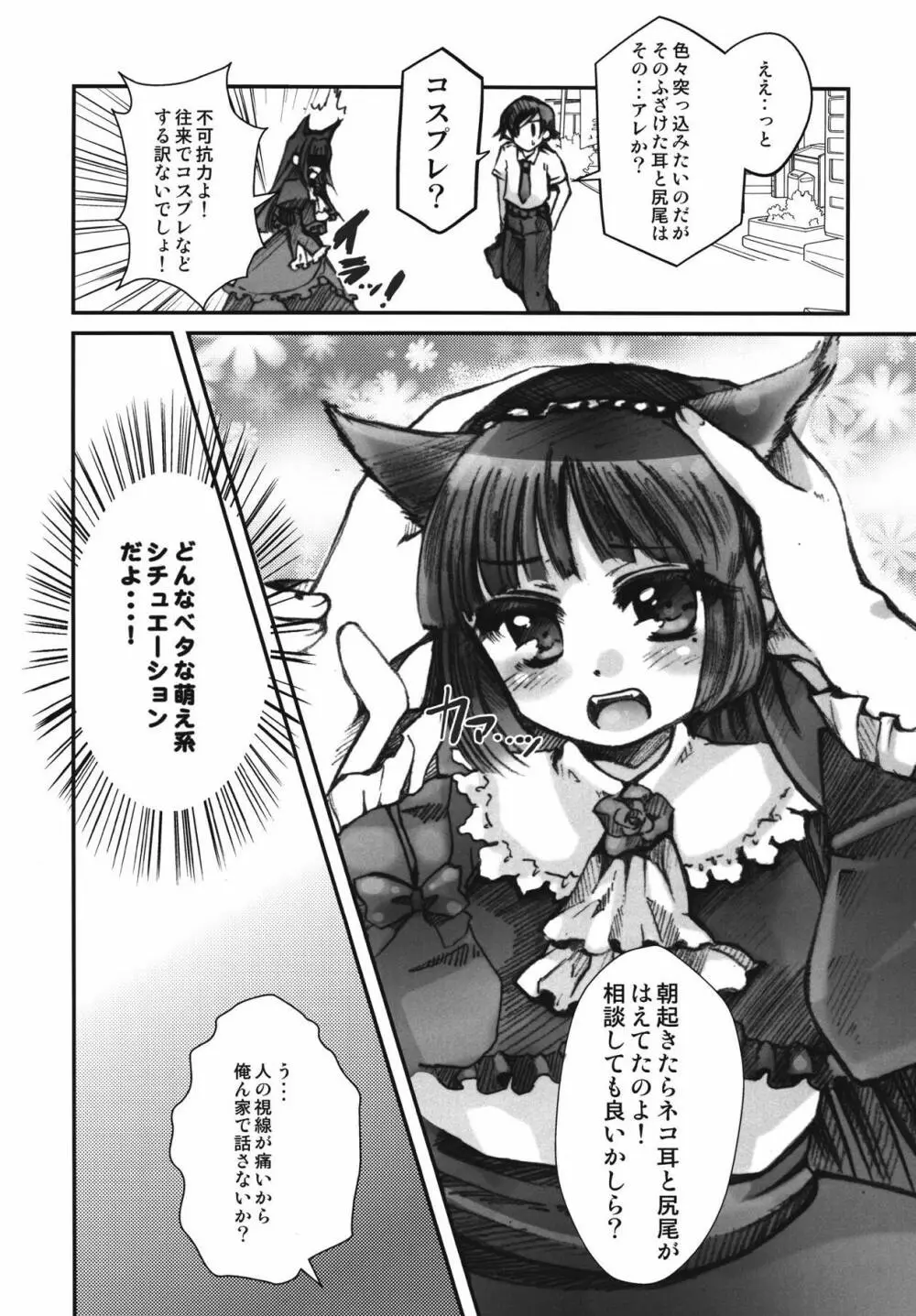 俺の黒猫がこんなに汚されるわけがない - page19