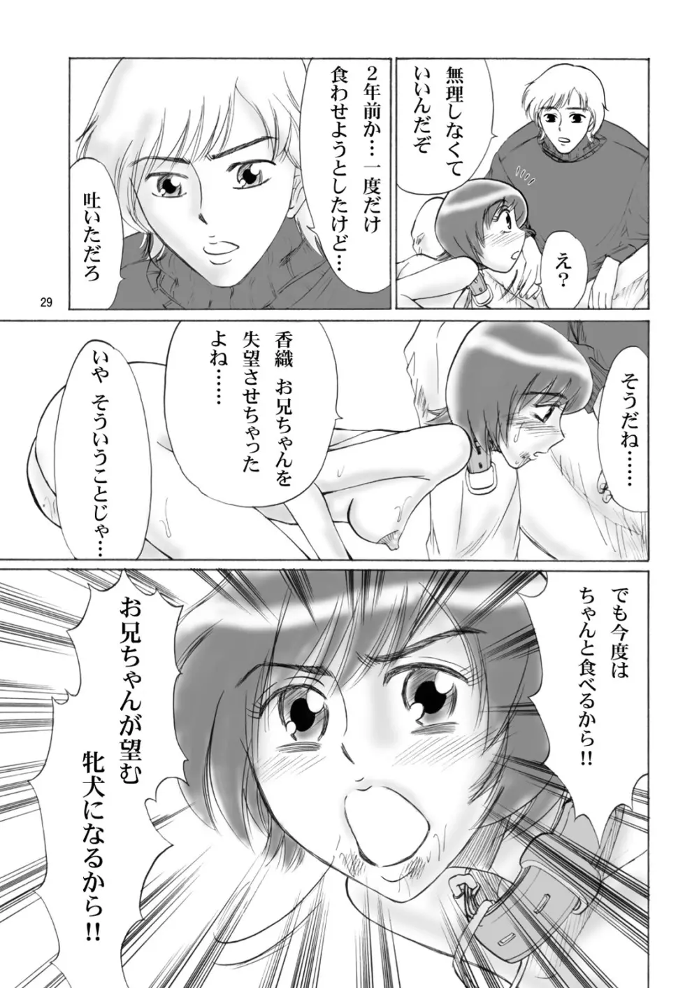 兄妹SM物語「7days fuzz」～七日間調教録～前編 - page29