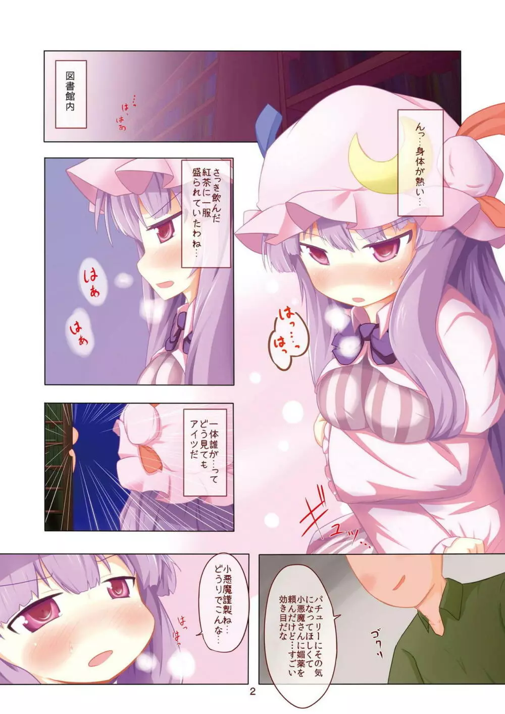 パチュリーらぶぽーしょん - page2