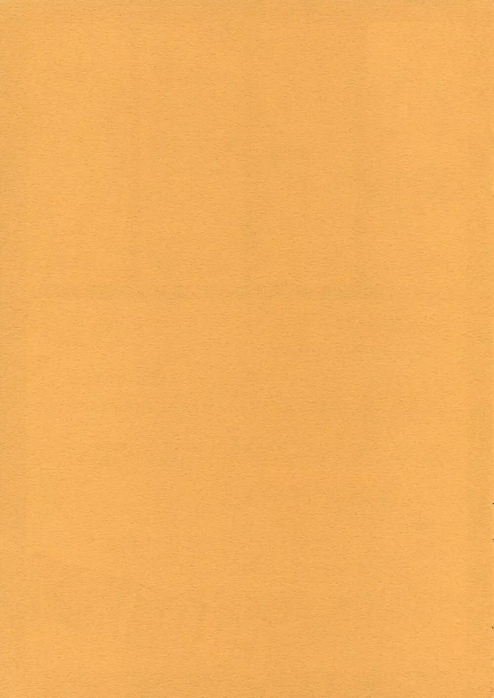 Code XXX - page2