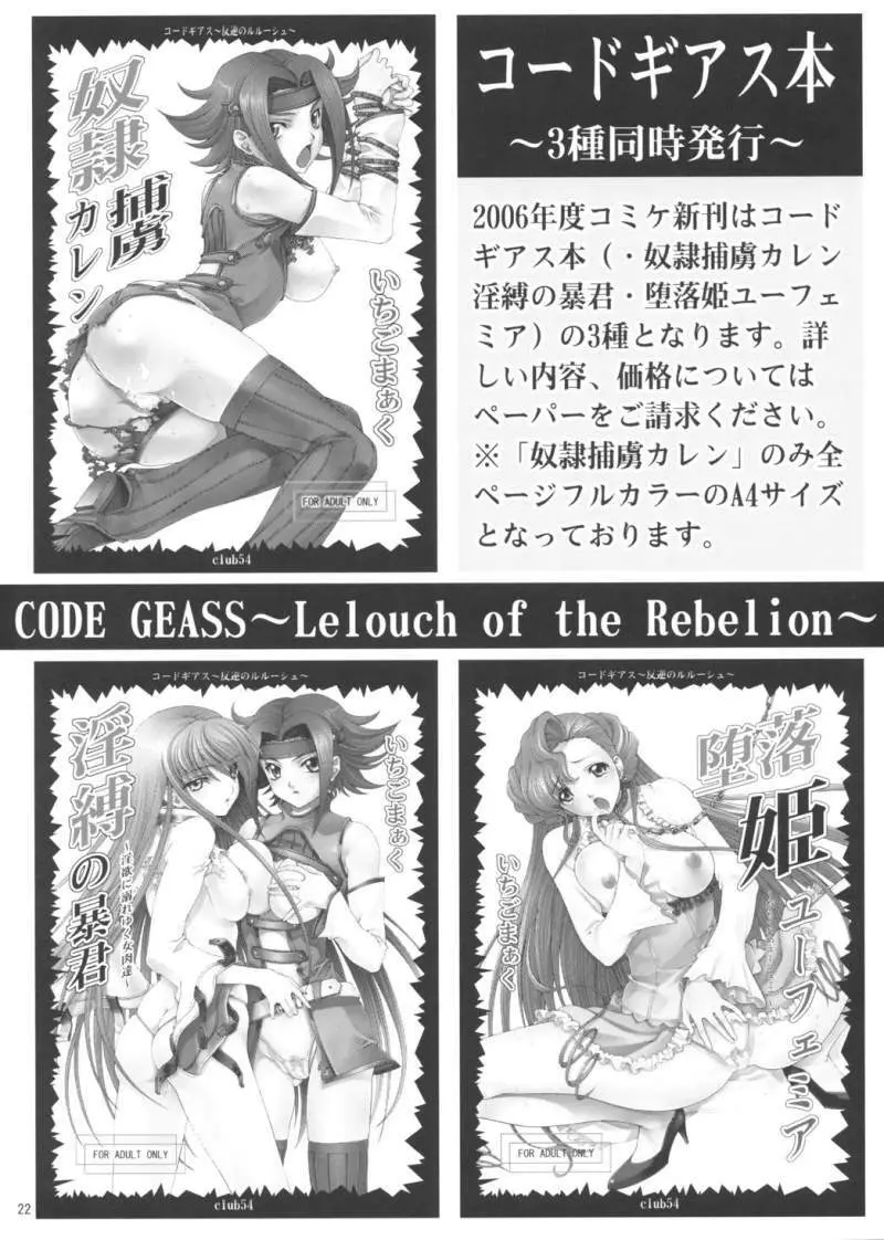 淫縛の暴君 - page21