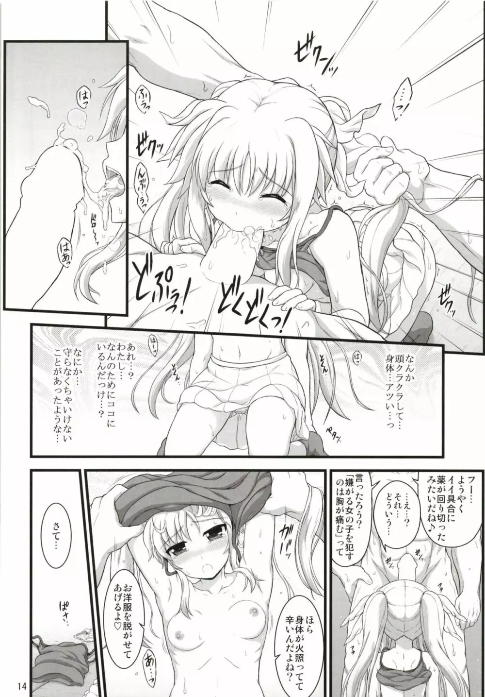 フェイトアフェクション - page14