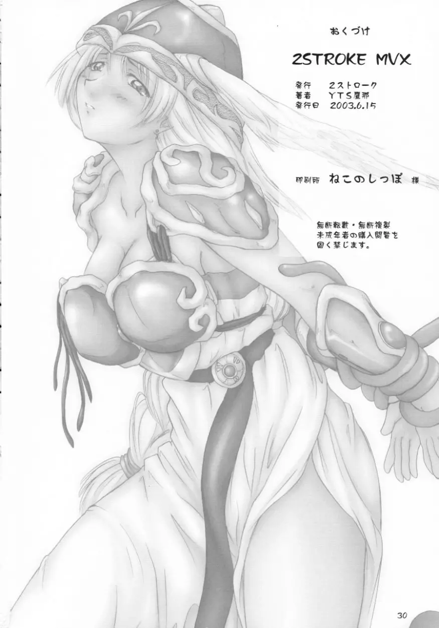 2Stroke MVX - page29