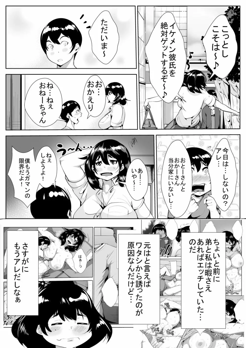 続・セックスにだだはまりする姉と弟 - page3