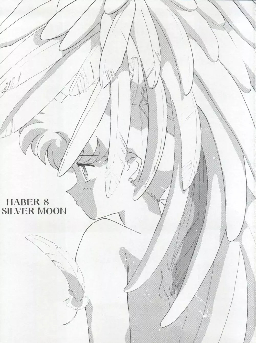 HABER 8 ～SILVER MOON～ - page3