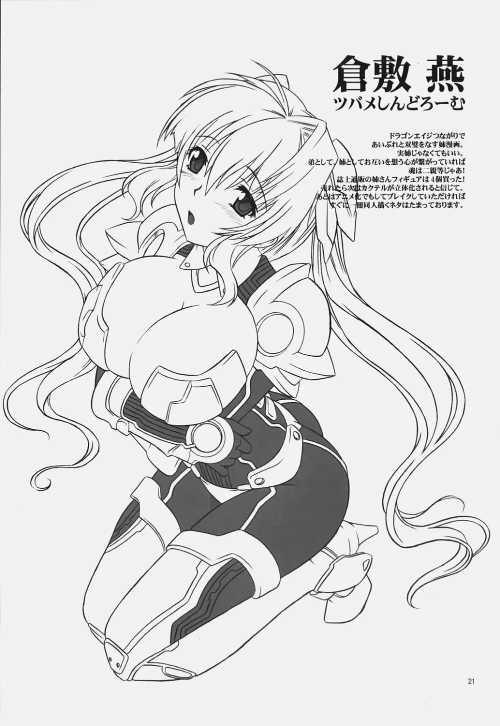 アネコレ - page20