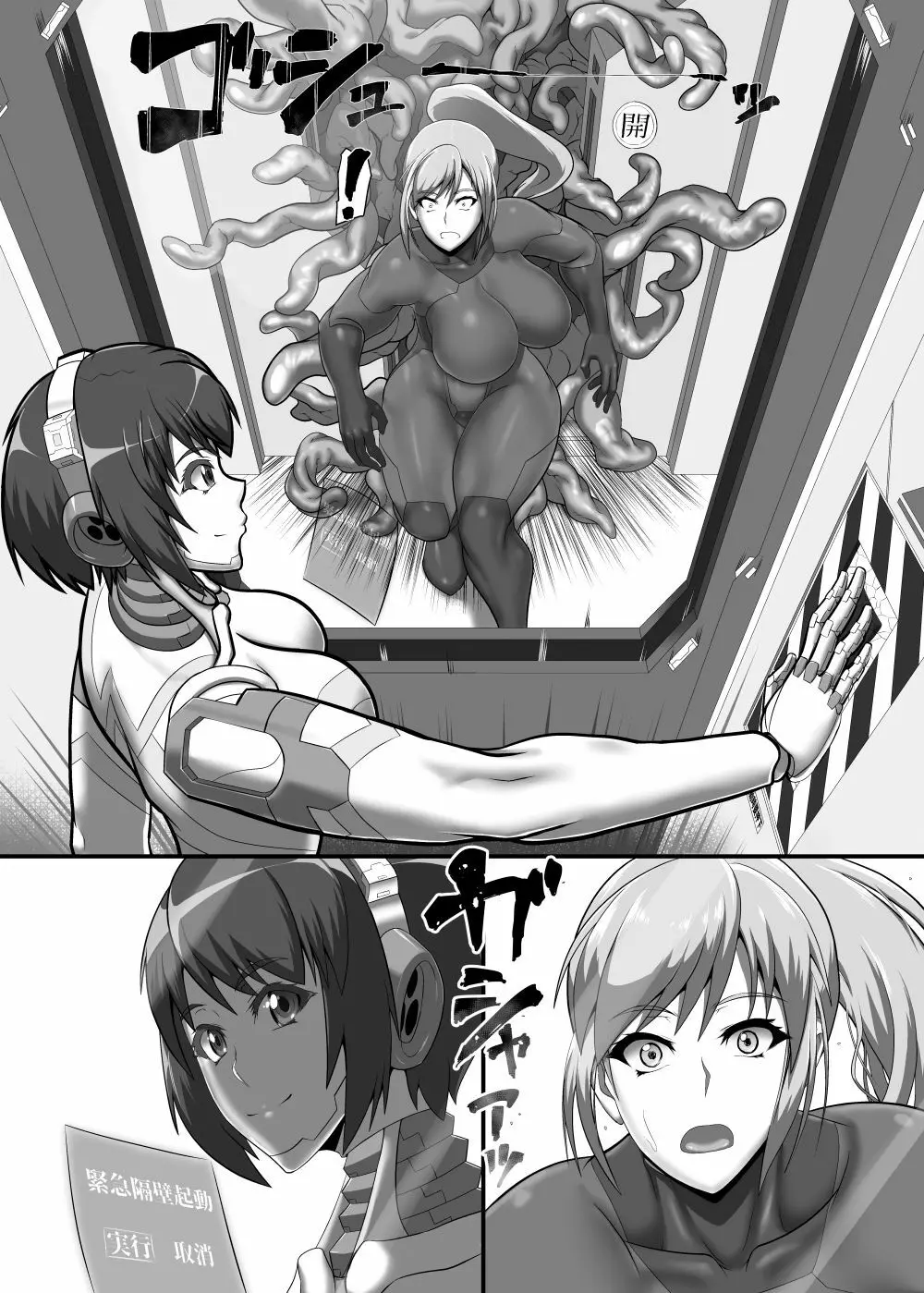 異物性の形態 - page11