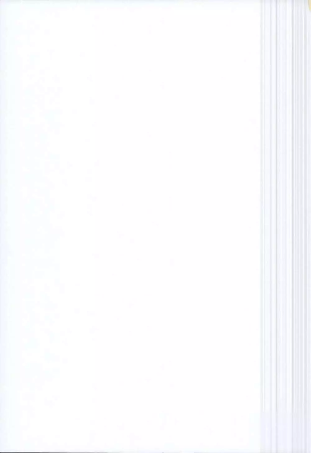 C95会場限定本 - page11