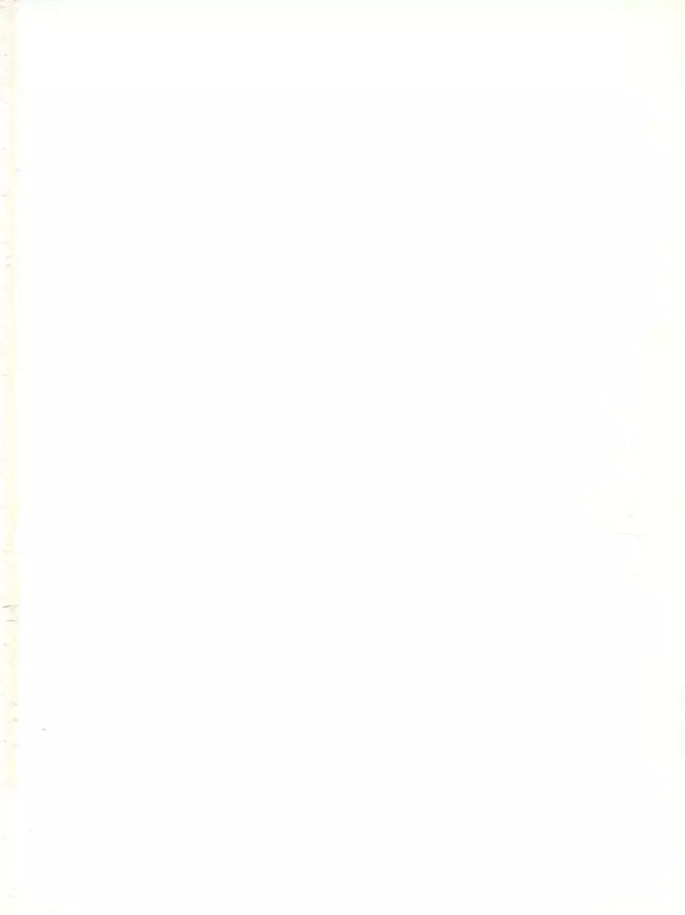 兄弟社・DX - page2