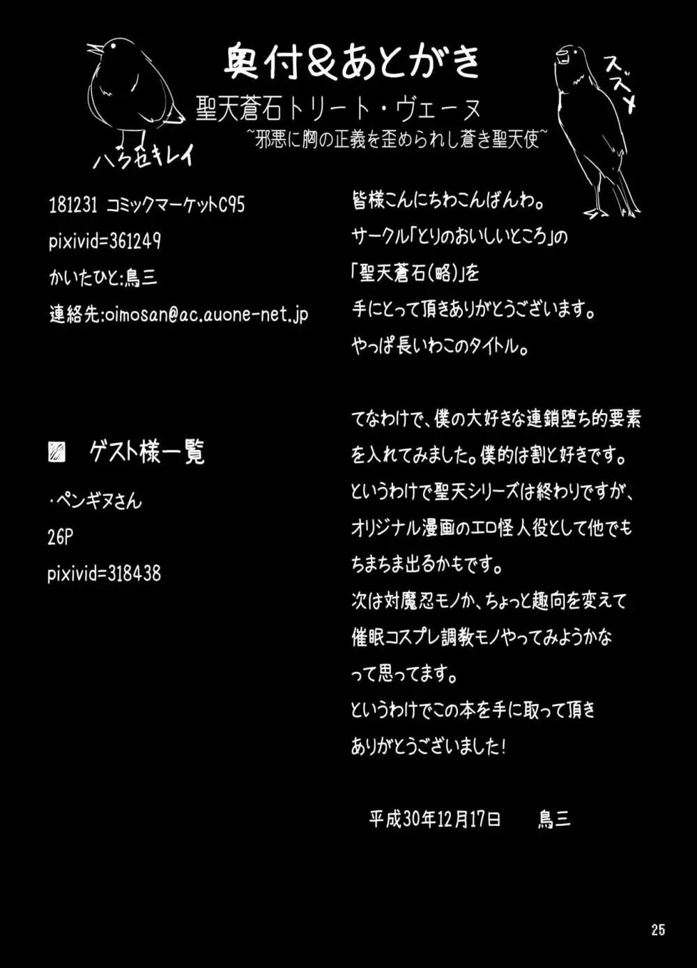 聖天蒼石トリート・ヴェーヌ～邪悪に胸の正義を歪められし蒼き聖天使～ - page25