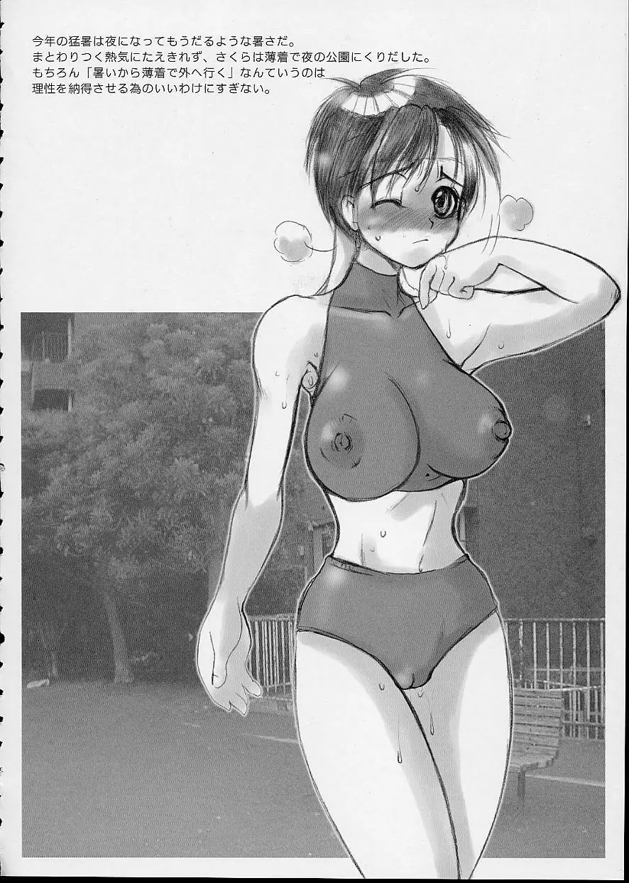 Holic2 Sky High - page36