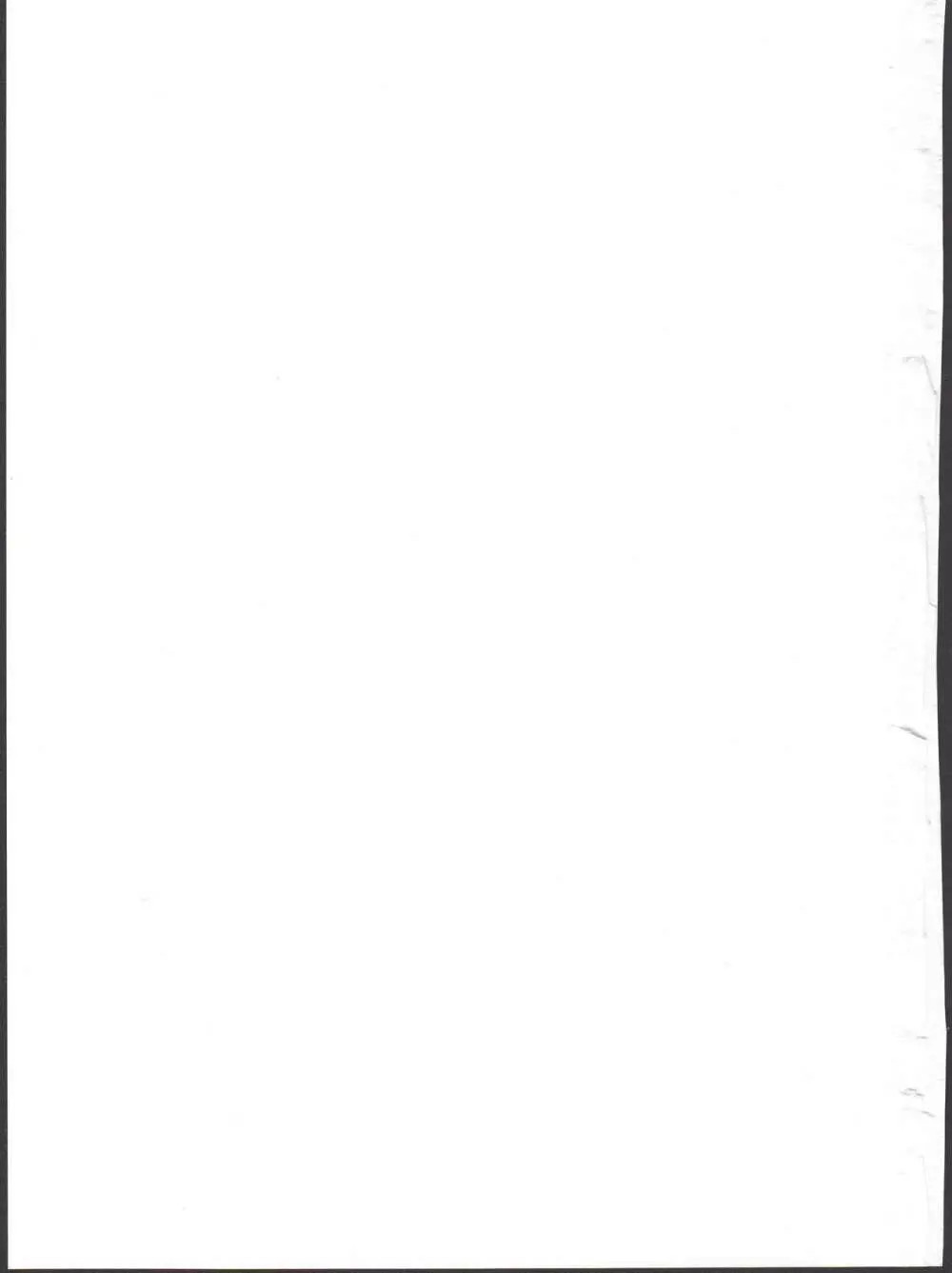 サモナイえっち落描きまとめ本 - page127