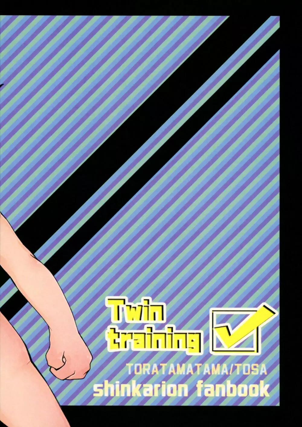 Twin training - page24