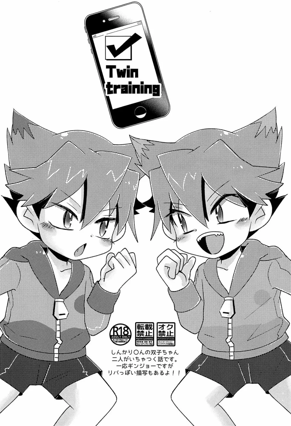 Twin training - page5