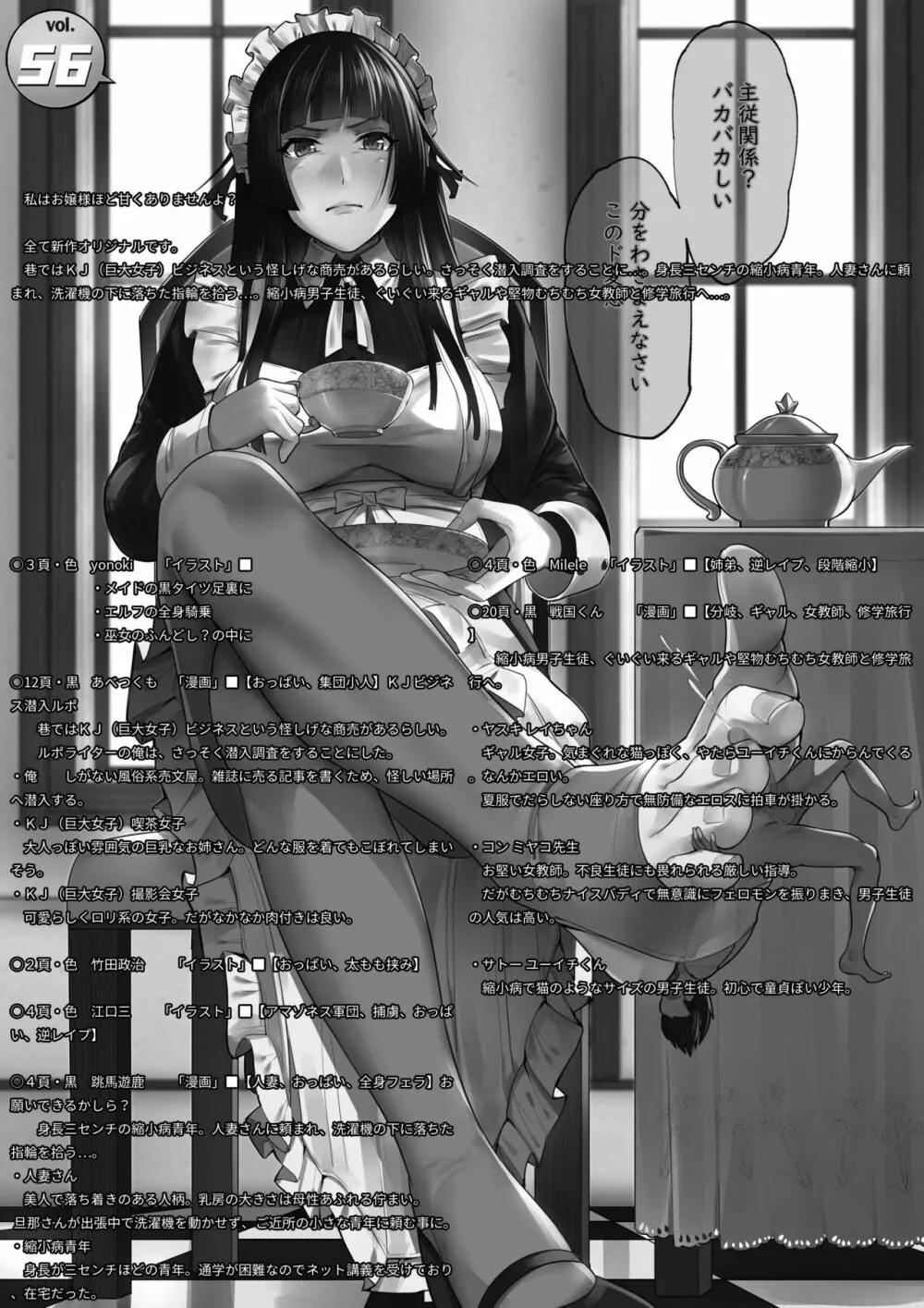 MM56号 私はお嬢様ほど甘くありませんよ？ - page2