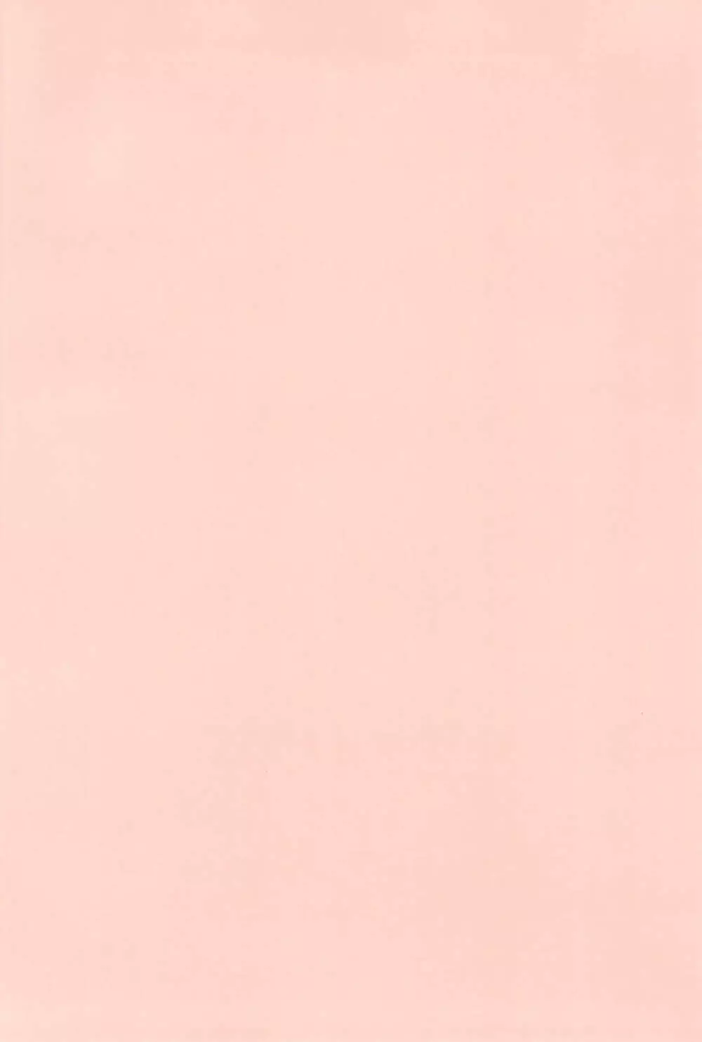 好きなのはお兄ちゃんもいっしょ - page4