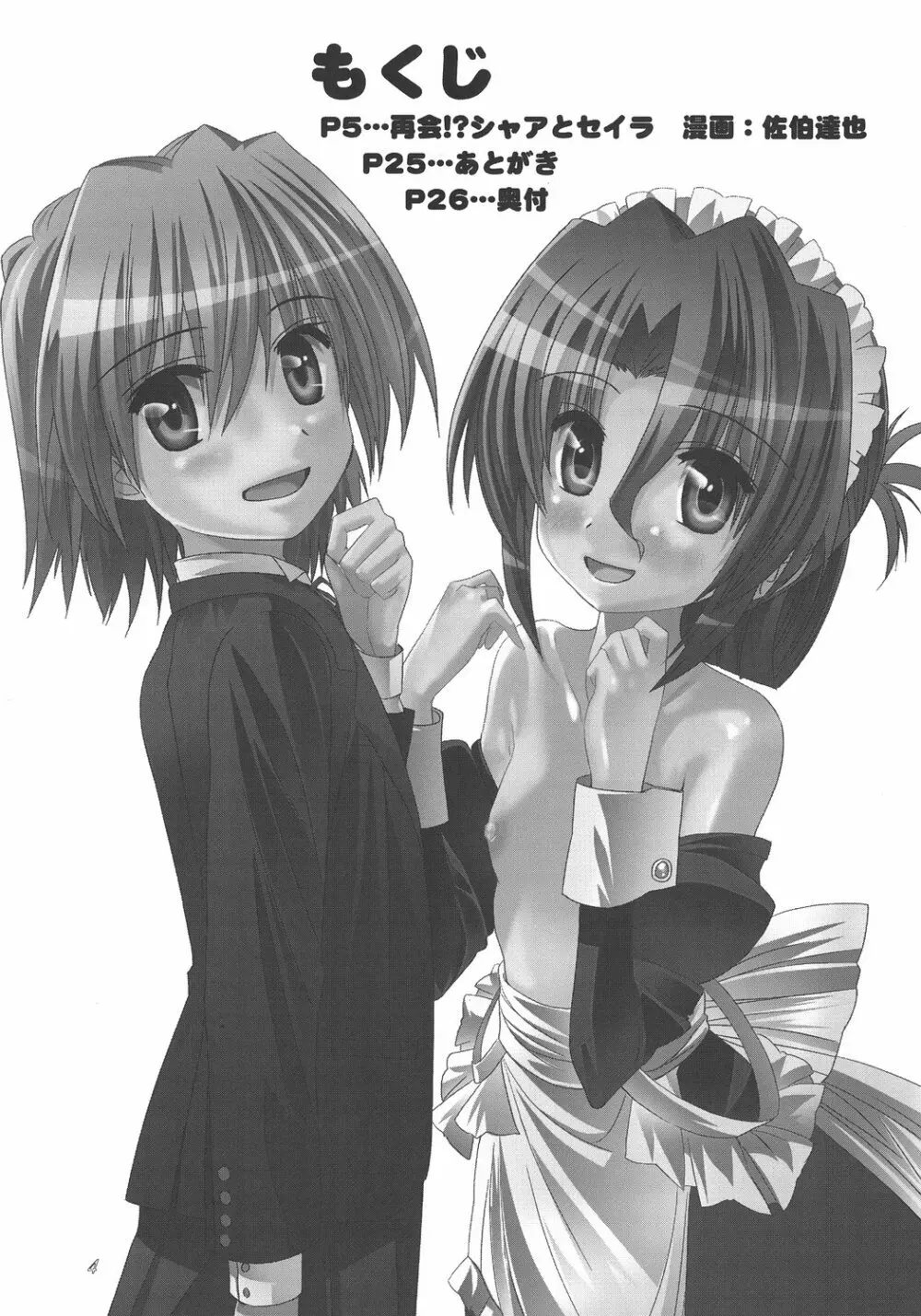 再会!?シャアとセイラ - page3