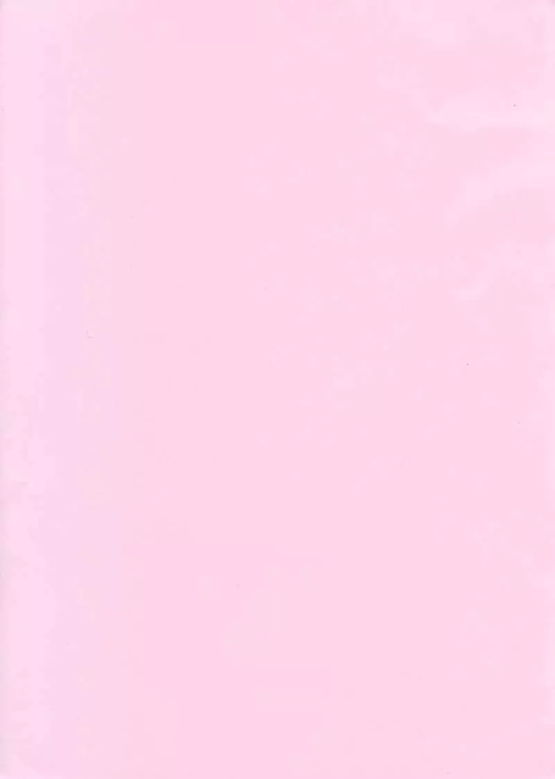 THE 虎 - page2