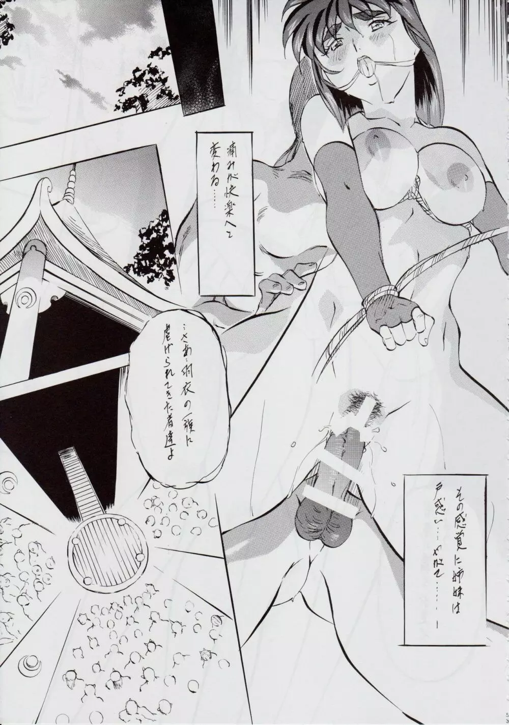 亜衣&麻衣 DSII ~雪月華~ - page56