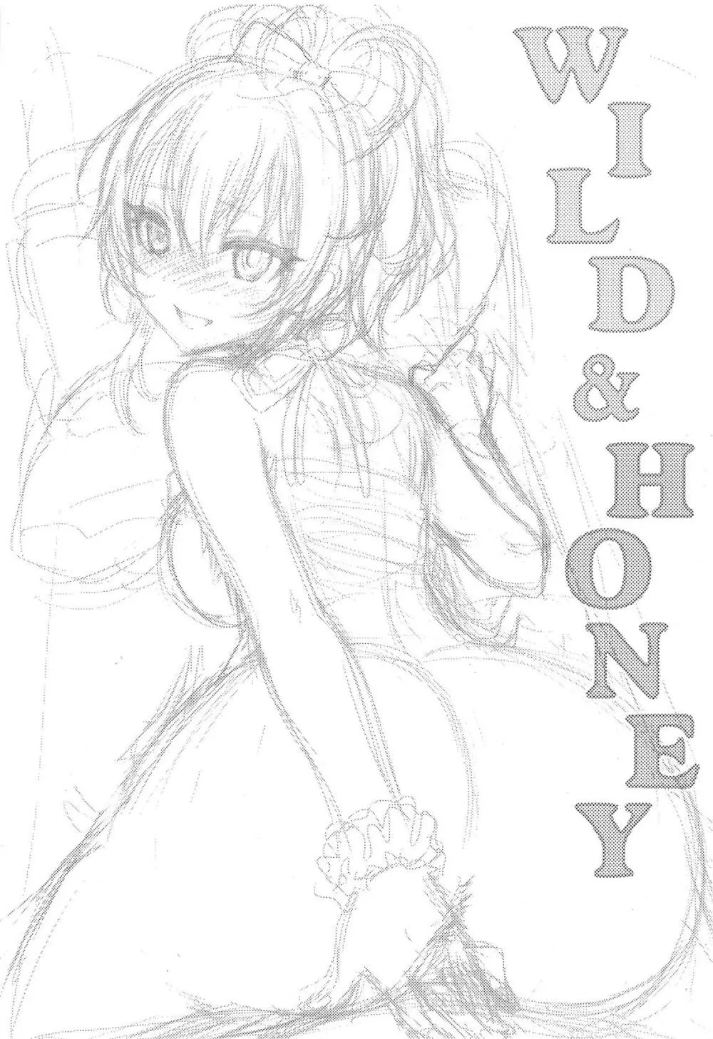 WILD & HONEY - page2