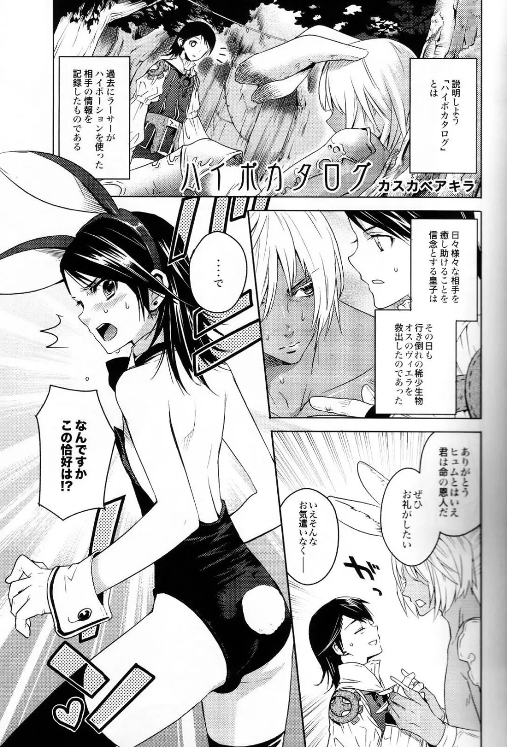 ハイポカタログ - page4