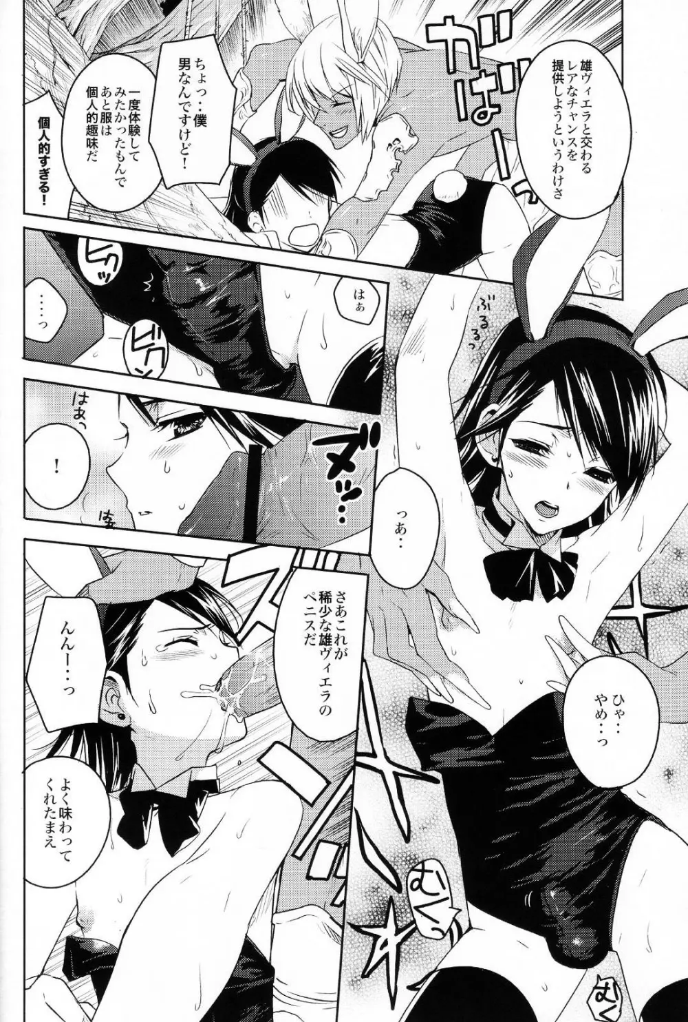 ハイポカタログ - page5