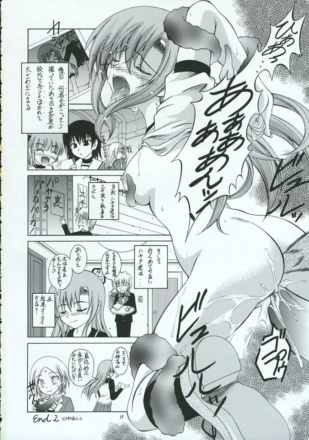 ハヤテのごとし!? 3 書店委託版 - page17