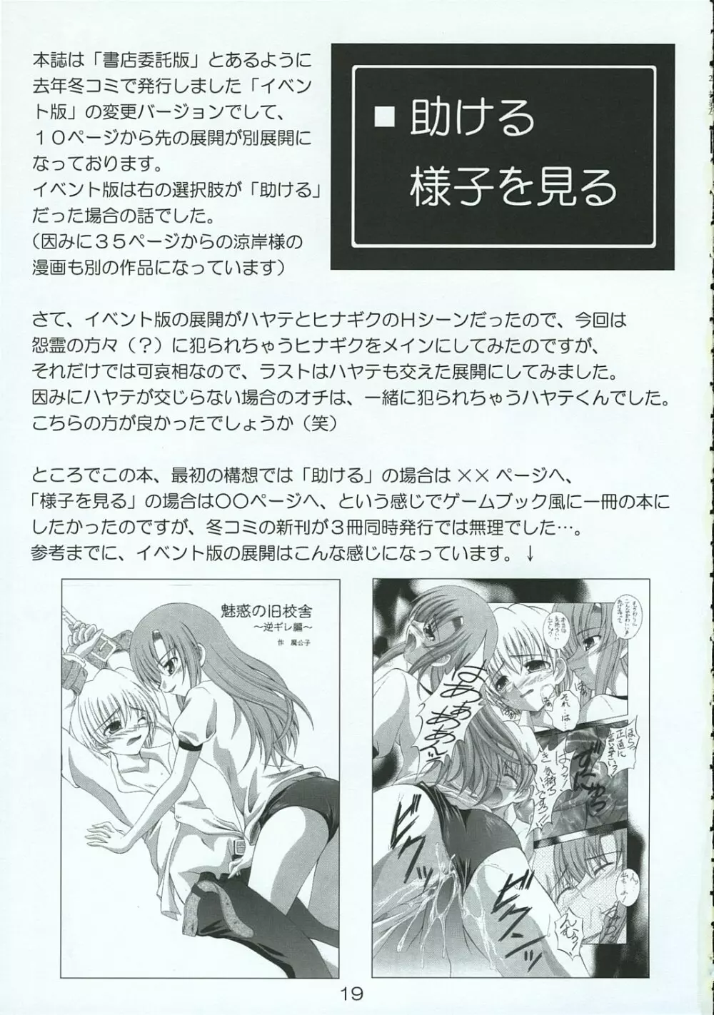 ハヤテのごとし!? 3 書店委託版 - page18