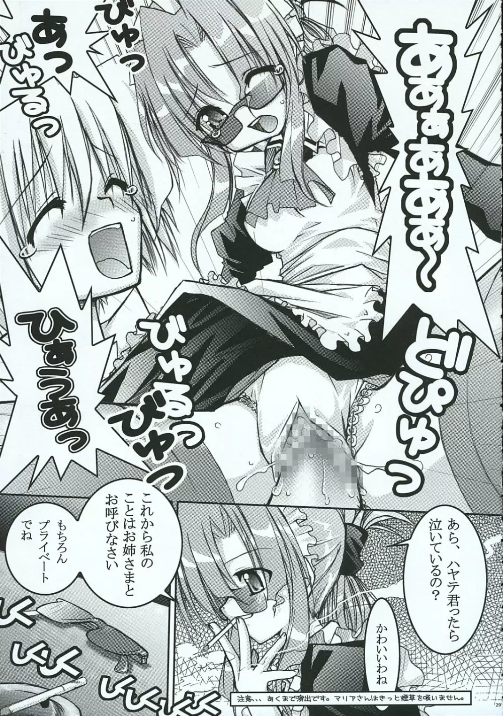 ハヤテのごとし!? 3 書店委託版 - page28