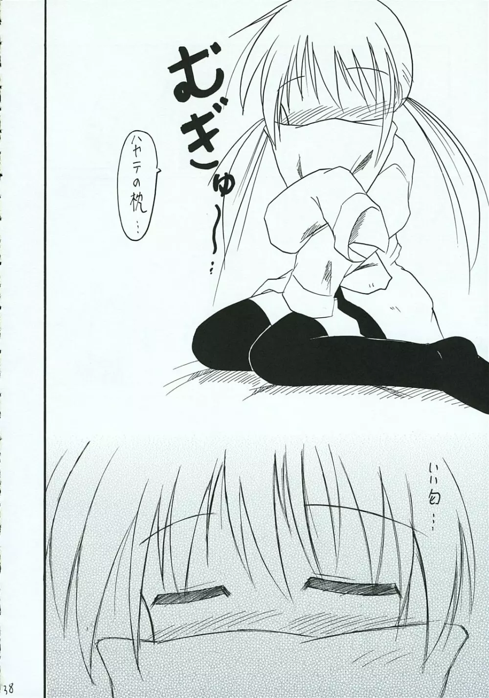 ハヤテのごとし!? 3 書店委託版 - page37