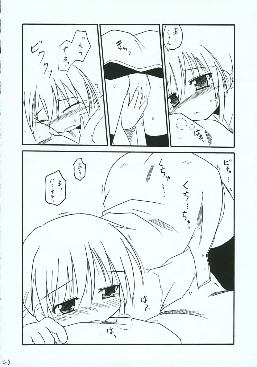 ハヤテのごとし!? 3 書店委託版 - page39