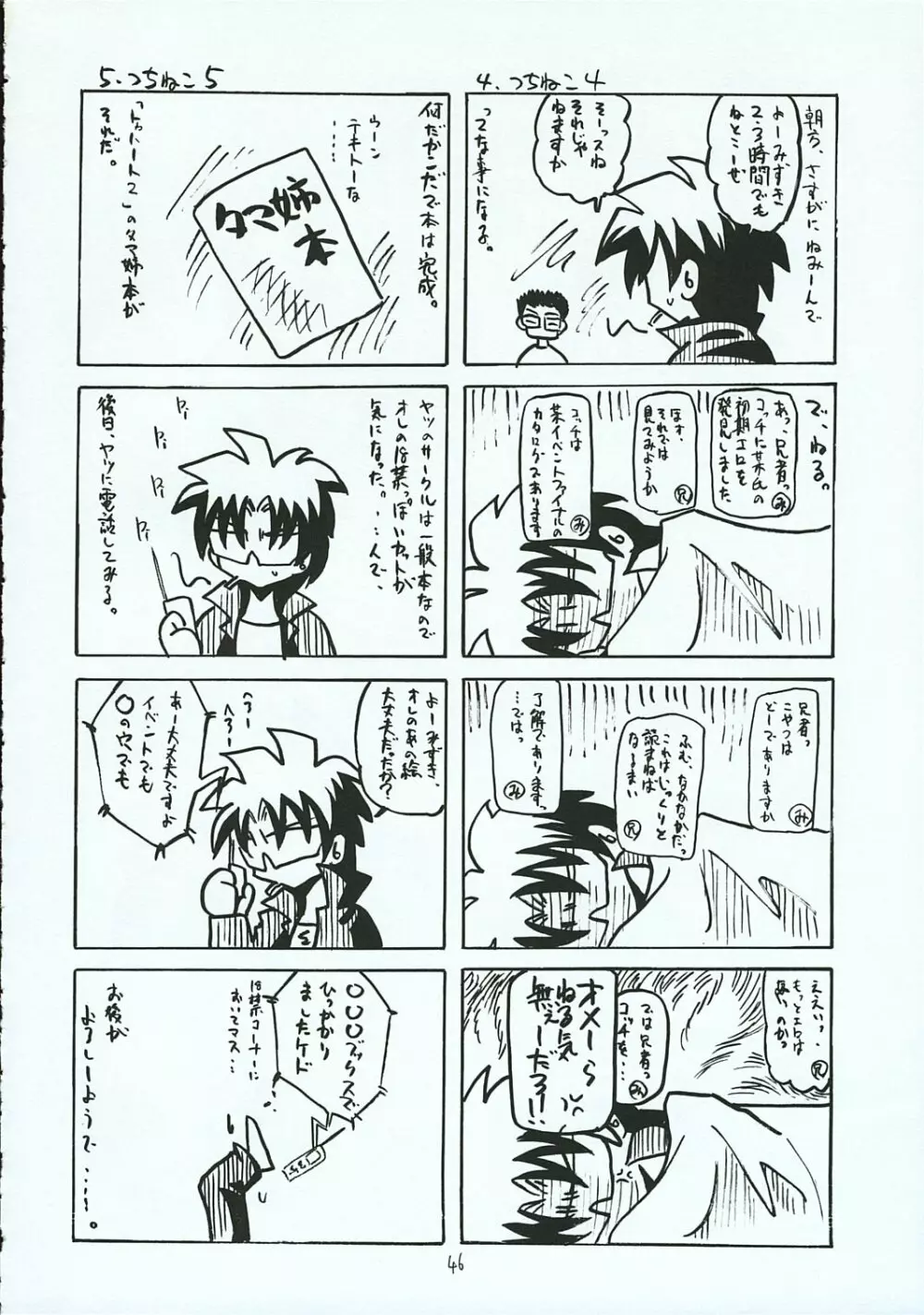 ハヤテのごとし!? 3 書店委託版 - page45