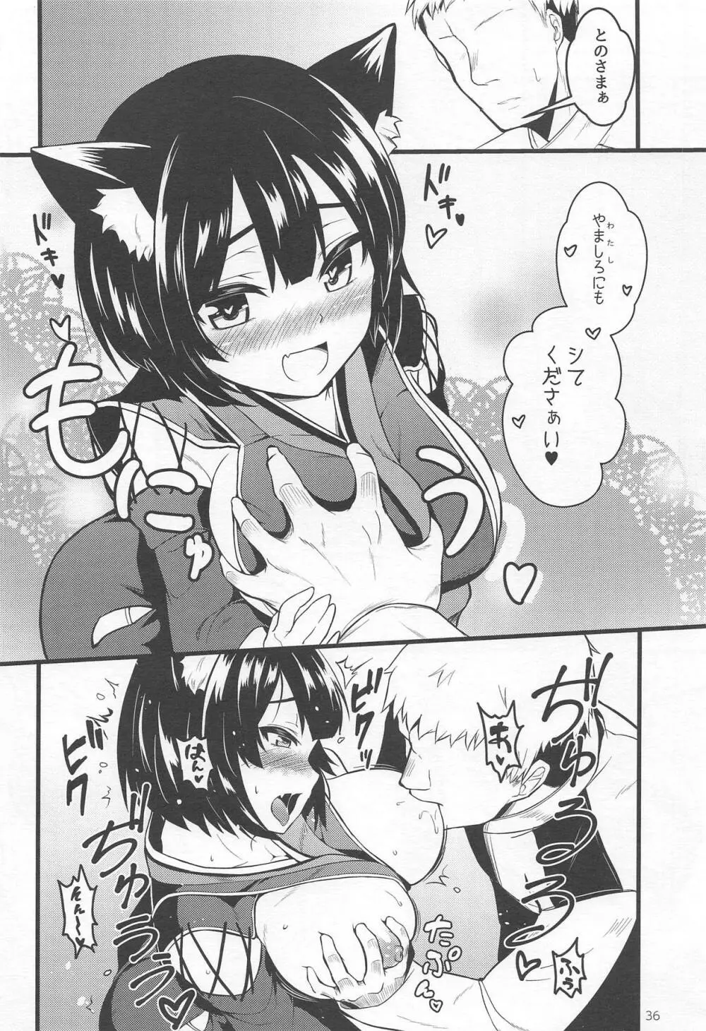 並行世界のラヴリーシップス - page35