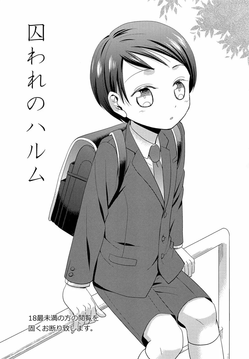囚われのハルム - page2