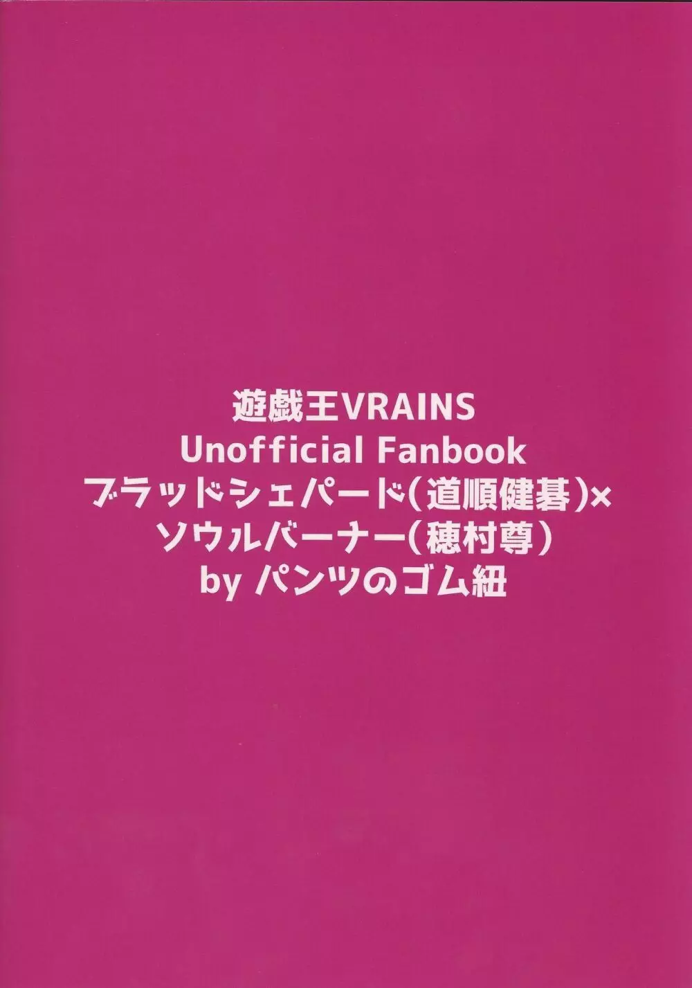 ブラッドシェパードがソウルバーナーのエメラルドを××する本 - page24