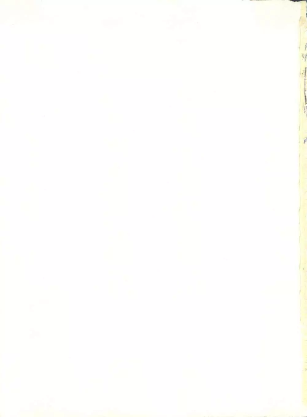 XSEED エクシード 創刊準備号 - page147