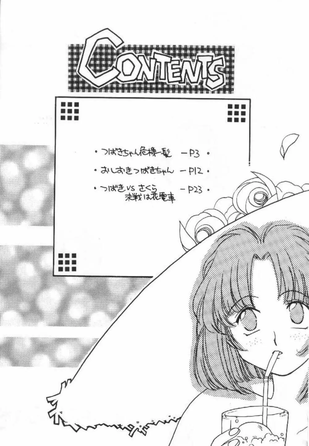 椿大戦 - page3