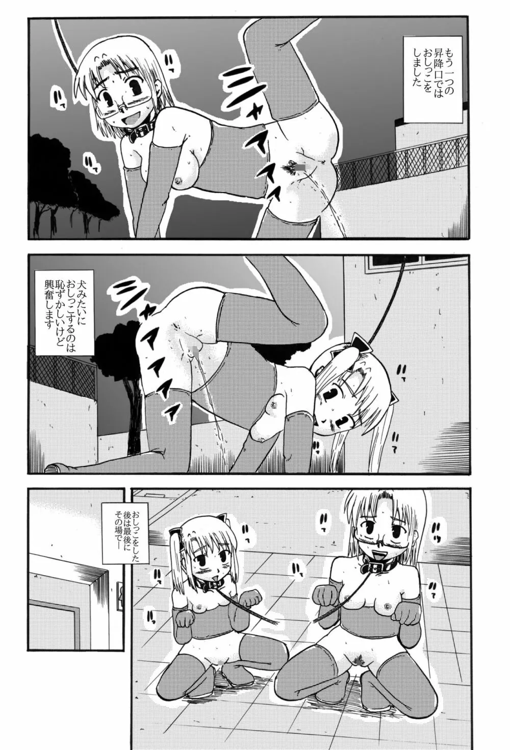 お母さんと一緒 柴野母娘の調教その2 - page9