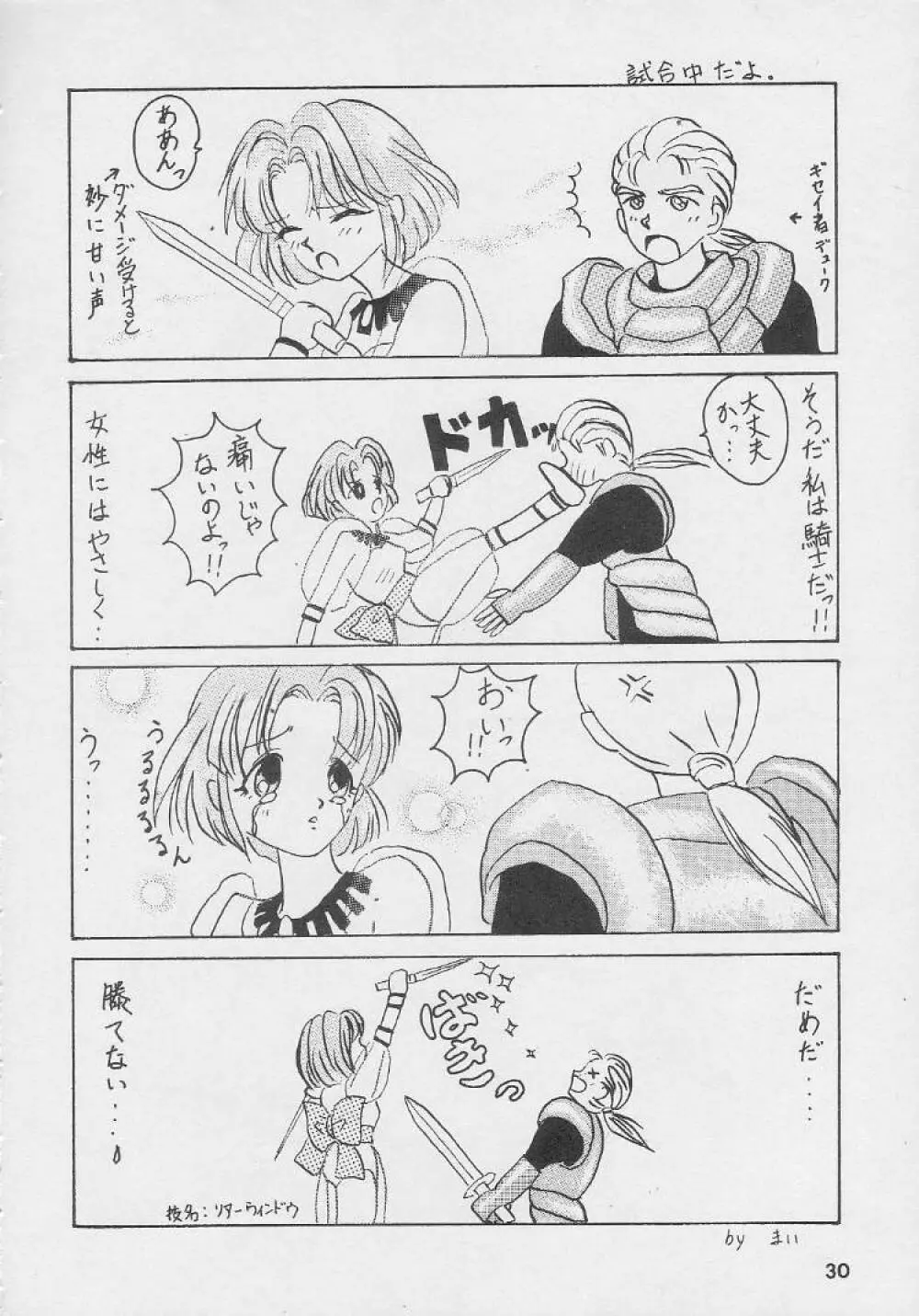 堕天使白書 - page30