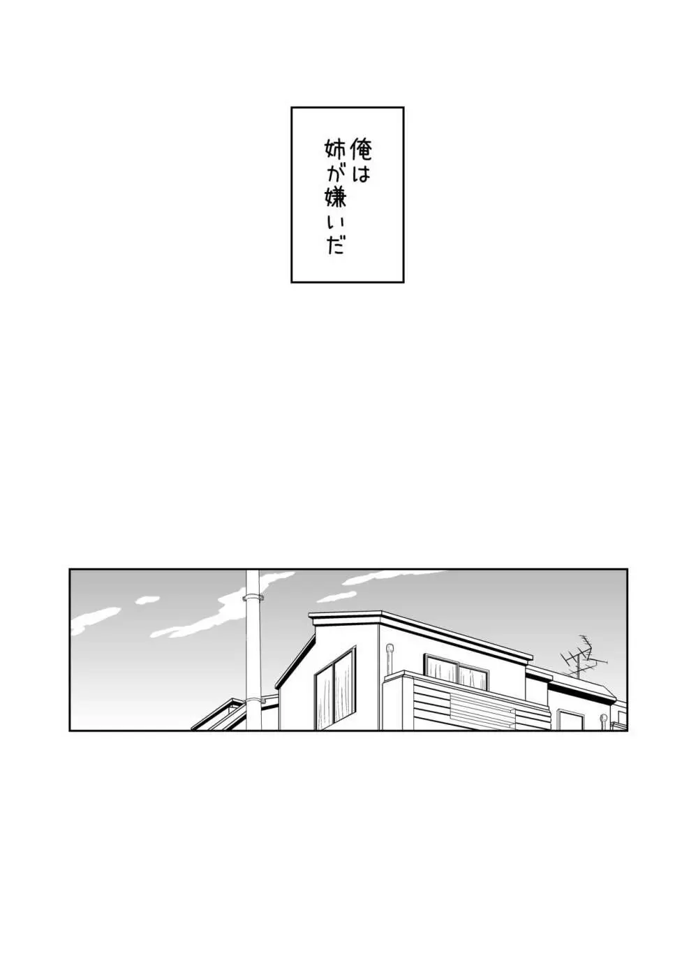 すきすきお姉ちゃん - page4