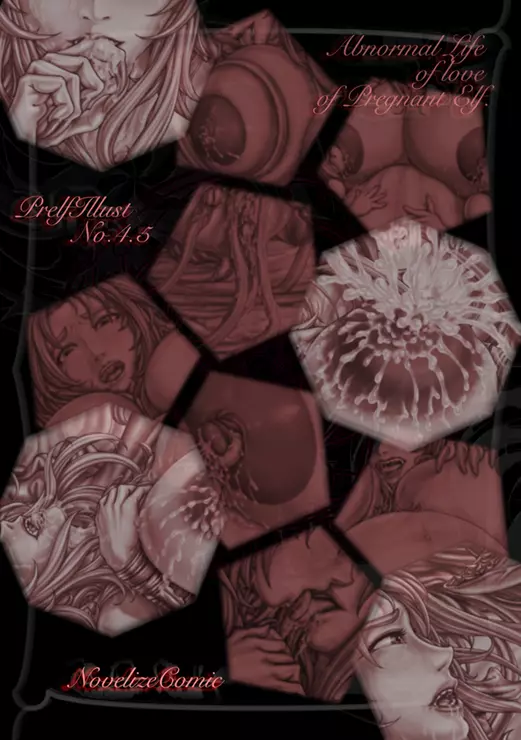 PrelfIllust No.4.5 NovelizeComic - page7