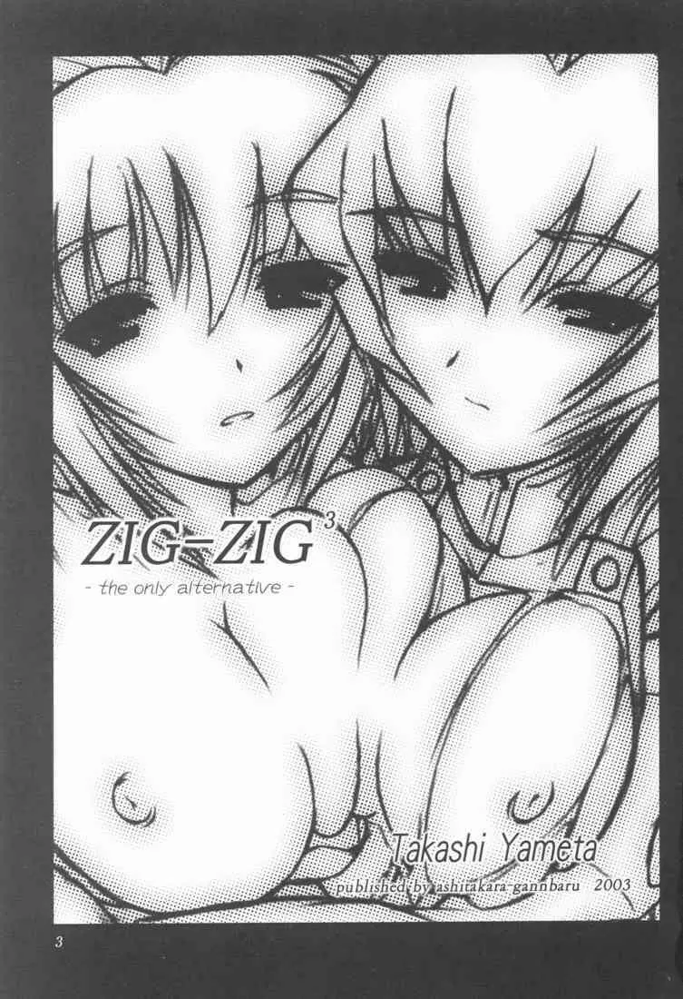 ZIG-ZIG 3 ～the only alternative～ - page3
