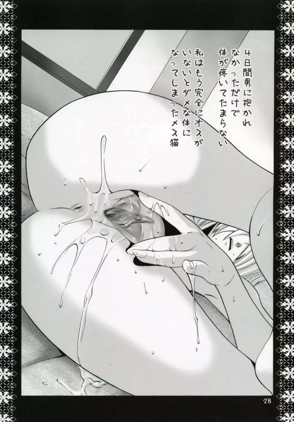ミスラ調教絵日記 - page27
