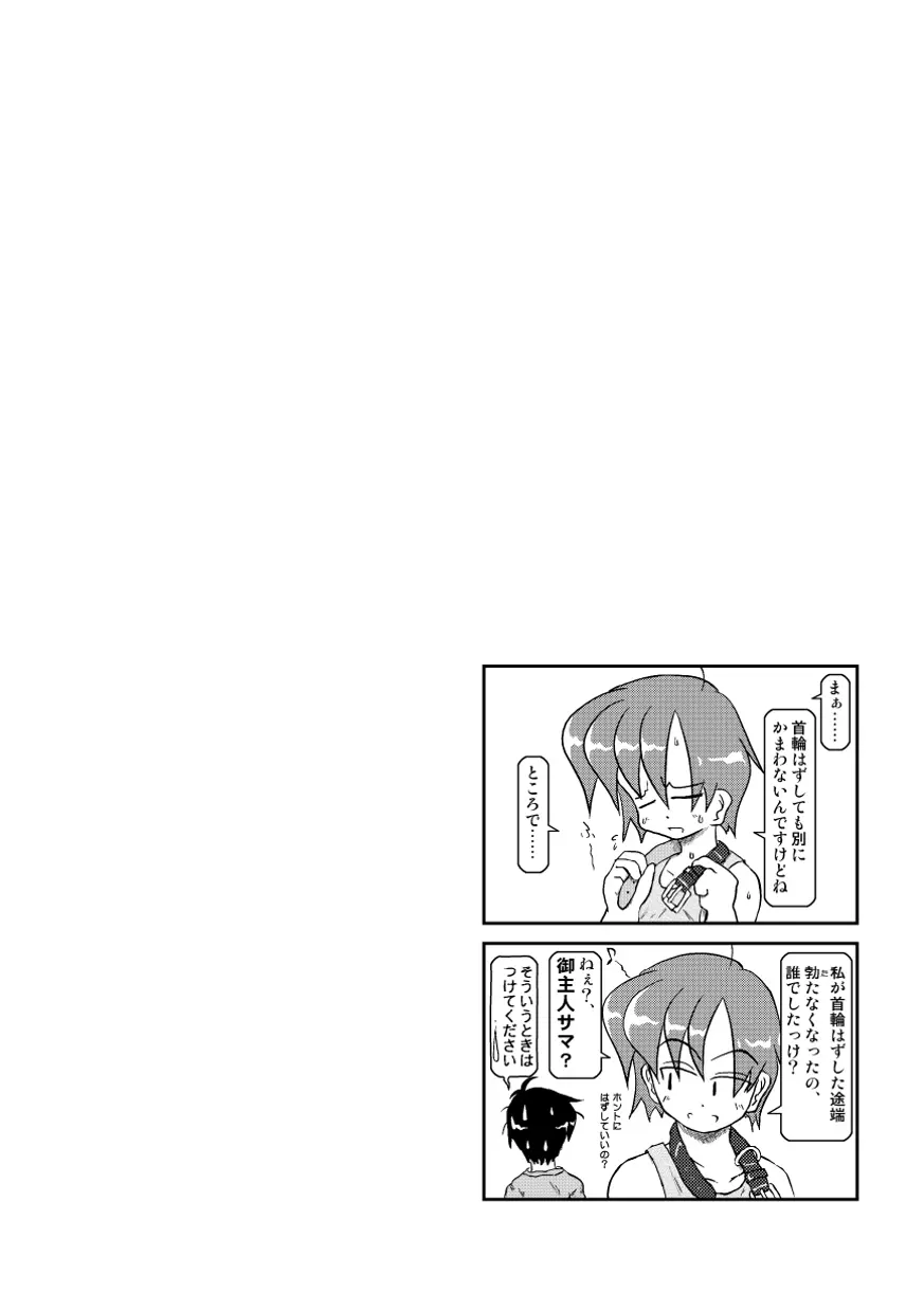 首輪日記2 - page17