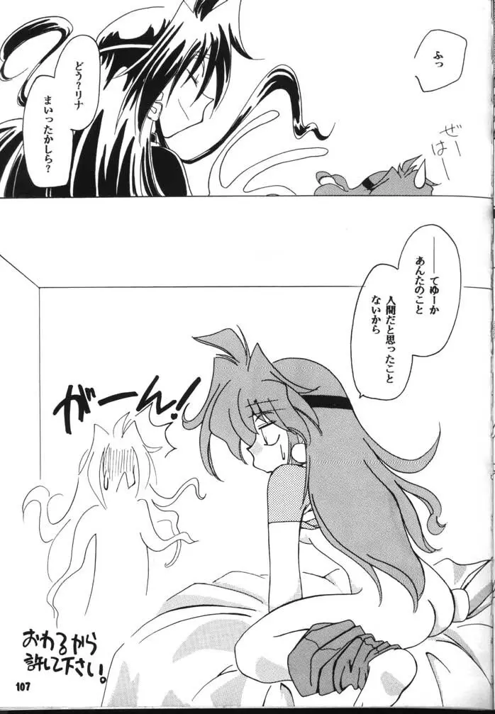 スレイヤーズぱろでぃ 2 - page107