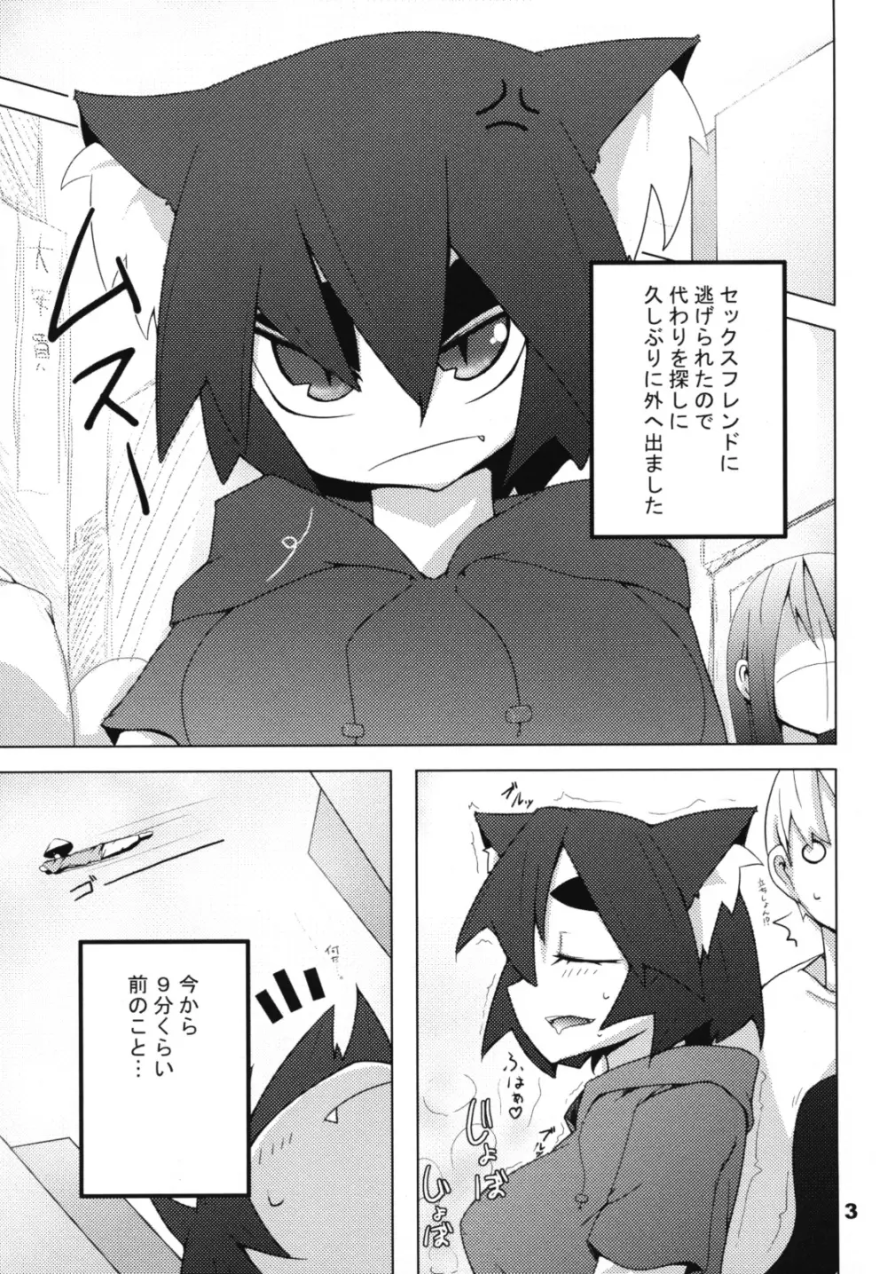 HOT TAIL - page2