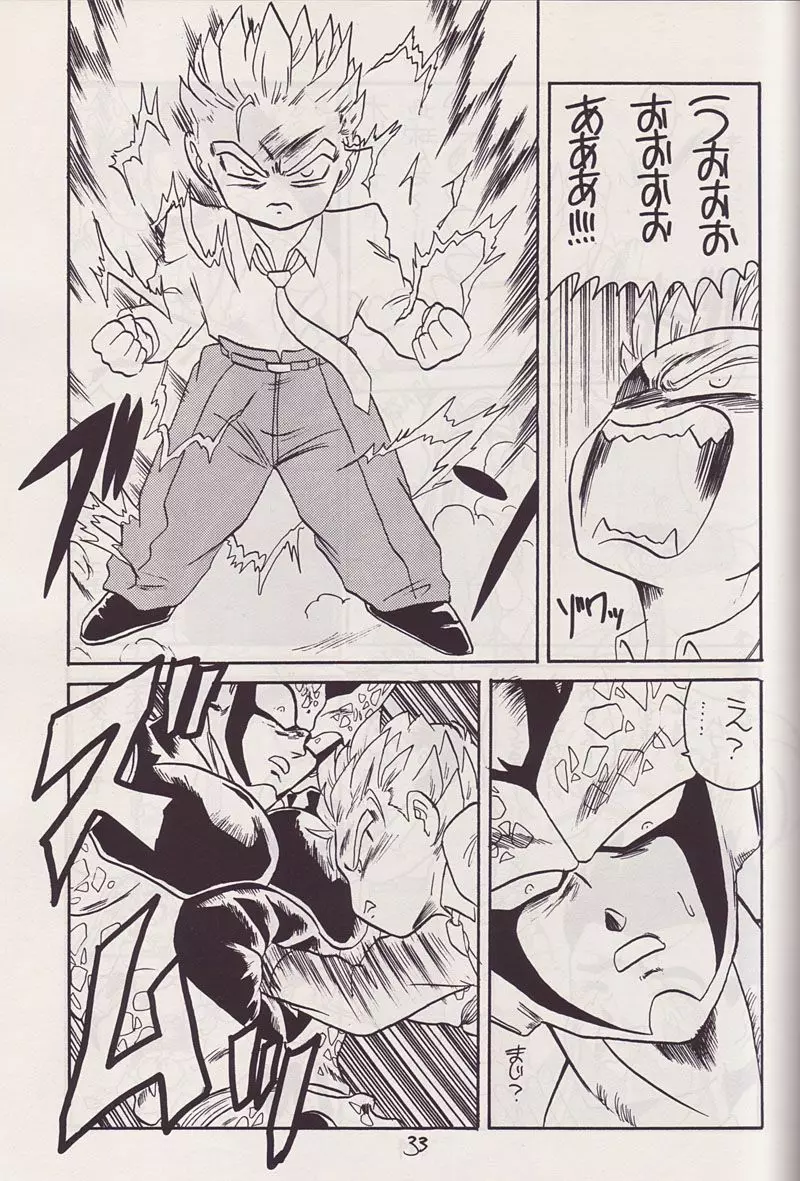 P-ARK - page14