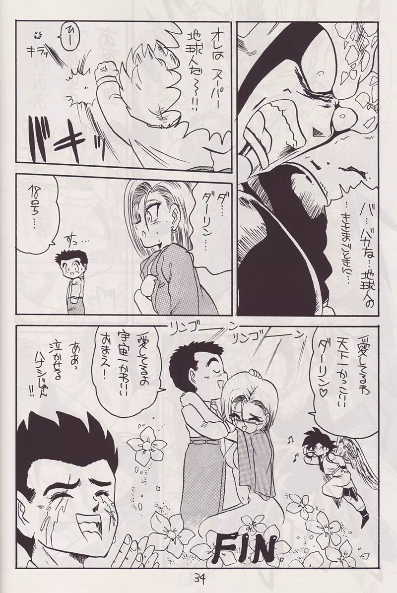 P-ARK - page15